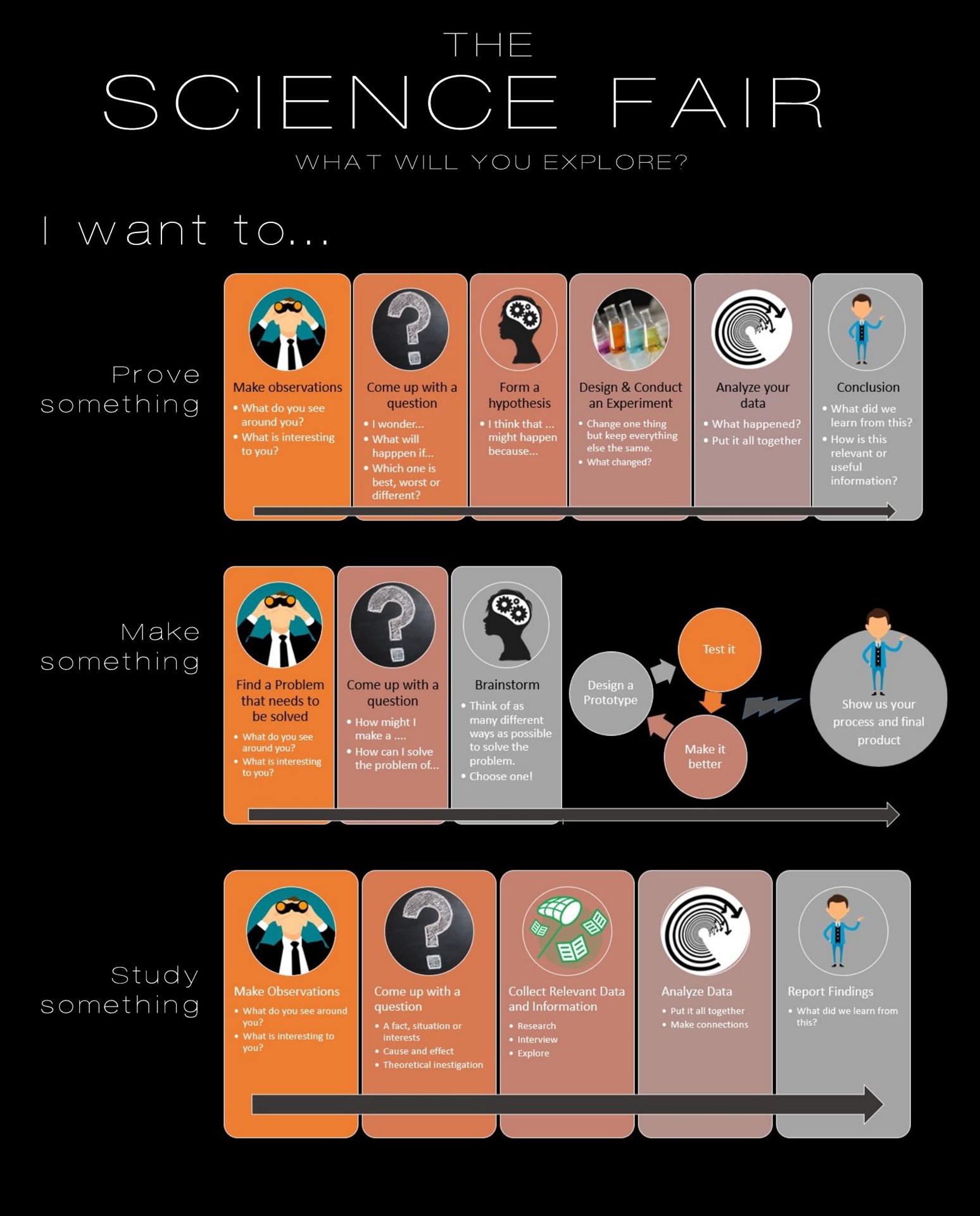 Science_Design Fair Infographic.jpeg