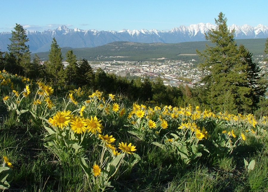 Cranbrook in the Canadian Rocky Mountains