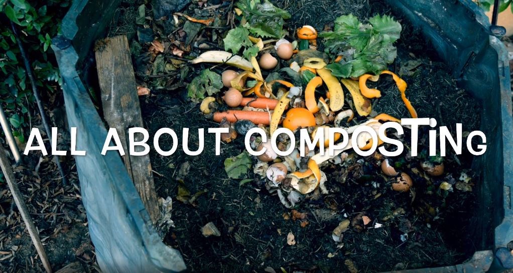 What is Compost.JPG